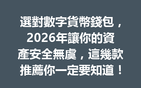 選對數字貨幣錢包，2026年讓你的資產安全無虞，這幾款推薦你一定要知道！ 一